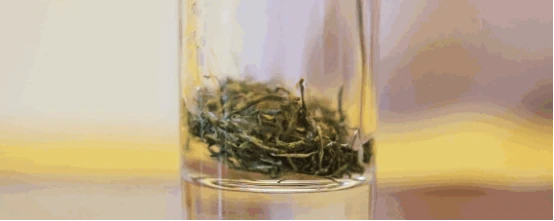 info-554-221